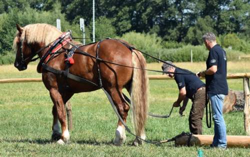 DSC_6692           a